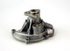 HEPU P595 Water Pump